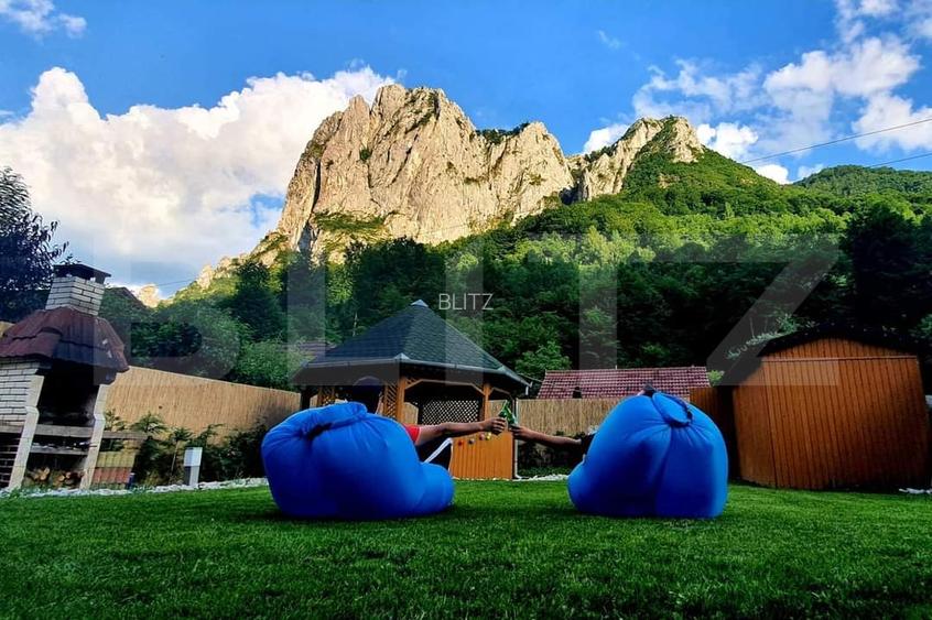Casă de vacanță în inima naturii – Râmeț, Valea Mănăstirii - 6