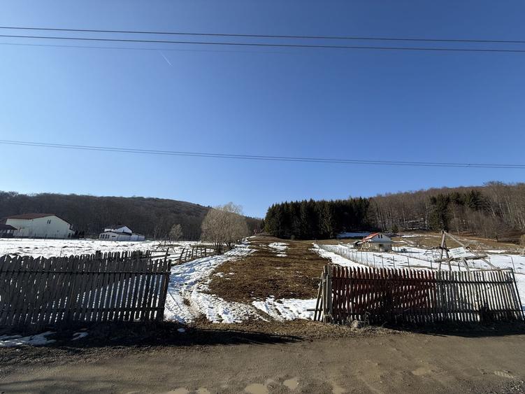 Teren intravilan 4521mp lângă pădure-valea Doftanei -Calea Brasovului