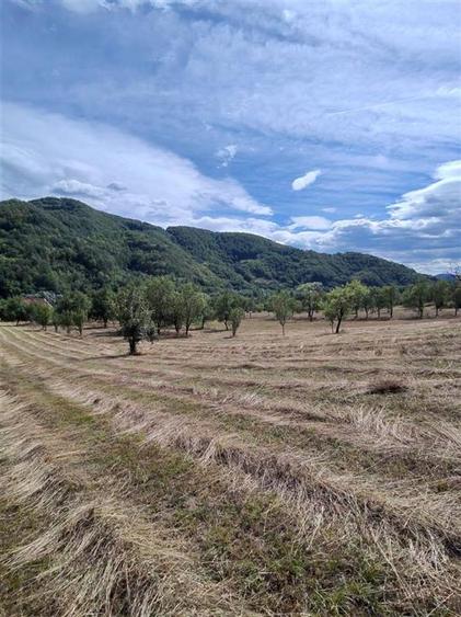 Teren si Casa Mihaileni