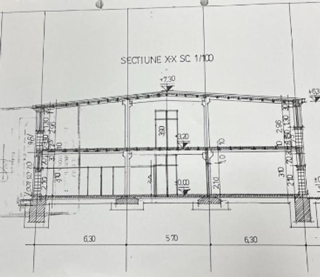 Hală Industrială de Vânzare, 2200 mp – Bariera Vâlcii
