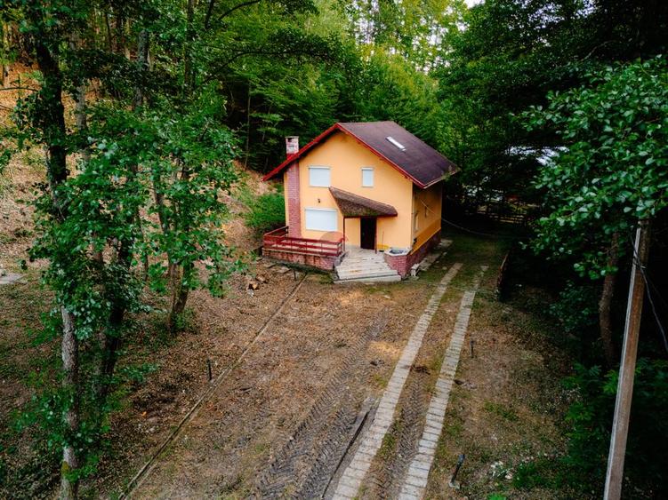 Casă de vacanță de vânzare în Drăganu, Argeș + teren 1.292mp