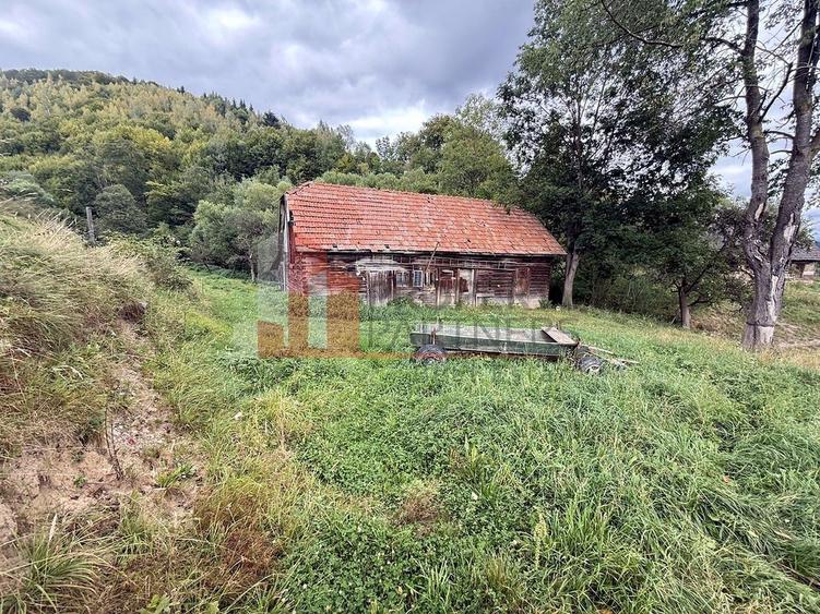 Teren de investiție în Moieciu, lângă Castelul Bran – 11.381 mp, vedere Bucegi