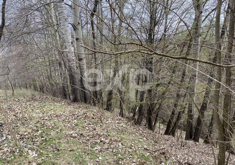 Oportunitate investiție în Corbi, Argeș | 22.000 mp teren în zonă de poveste
