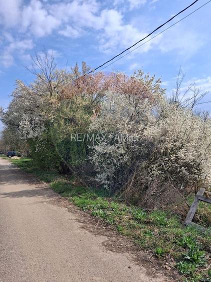 Teren 1,439mp Santaul Mare / Strada principala - 2