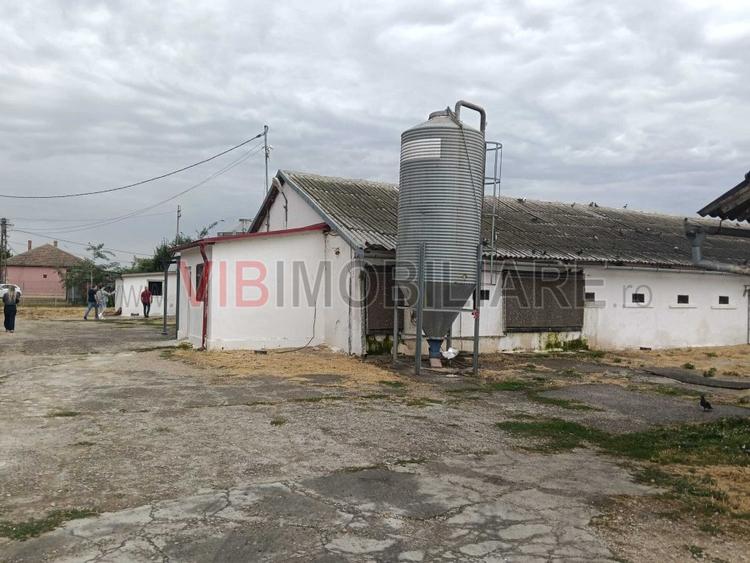 Ferma avicola pe profit, judetul Bihor-Oradea