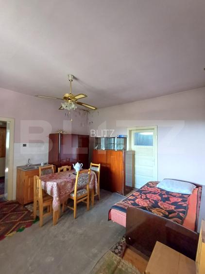 Casa renovabila cu 11508 mp teren, in Copaceni - 8