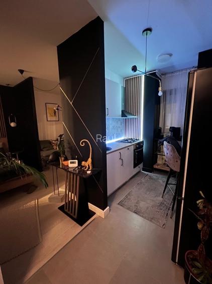 Studio dublu Aviatiei 10 min metrou Aurel Valicu , Promenada Mall, Herastrau - 12