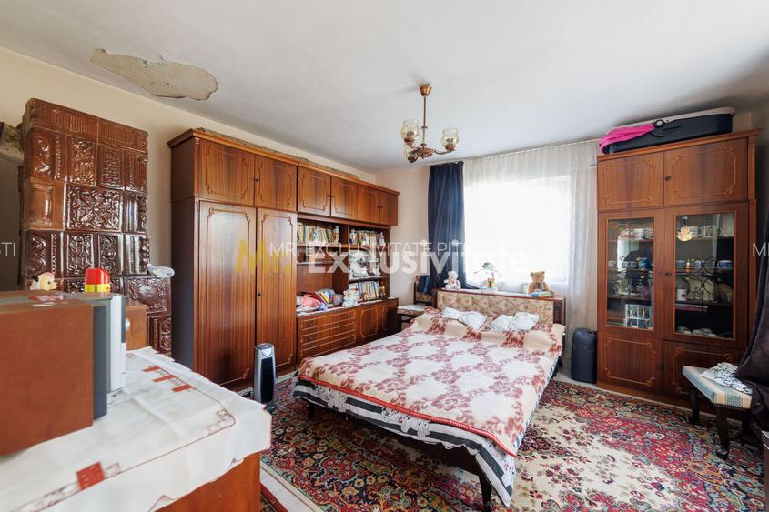 CASA SI GOSPODARIE DE VANZARE – SPINENI, OLT | 4.000 MP TEREN - 3
