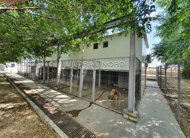 Exclusivitate-Ovidiu-Pet Hotel, 220 mp utili,teren intravilan 1.417mp,utilitati