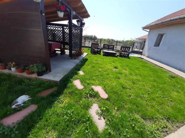 Doua Case In Curte  Cenei La 28 Km De Timisoara