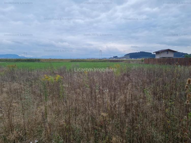 De vanzare teren  502 mp Harman Aleea 14 pret 40000 euro - 4