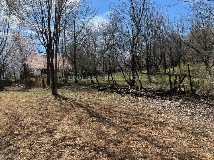 Breaza - str.Plaiului, Coasta Berzei nr.54, teren 1600 mp - 8