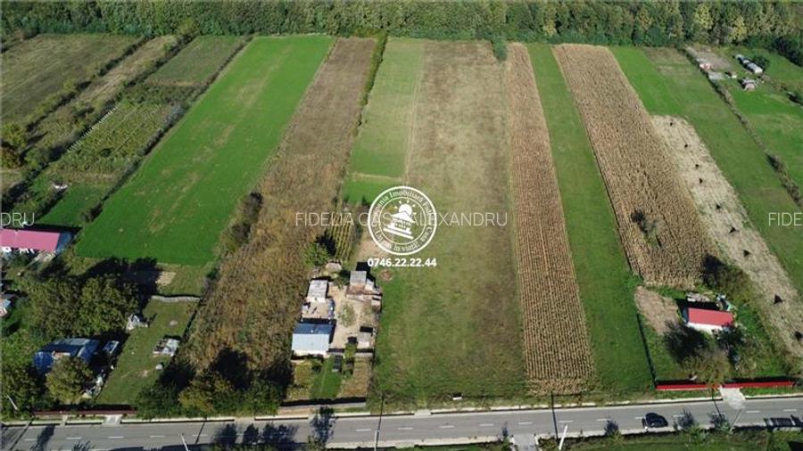 Teren langa padure - de vanzare in Poiana cu Cetate - 4