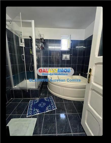 Vanzare casa superba 10 camere Olanesti-Vladuceni - 10