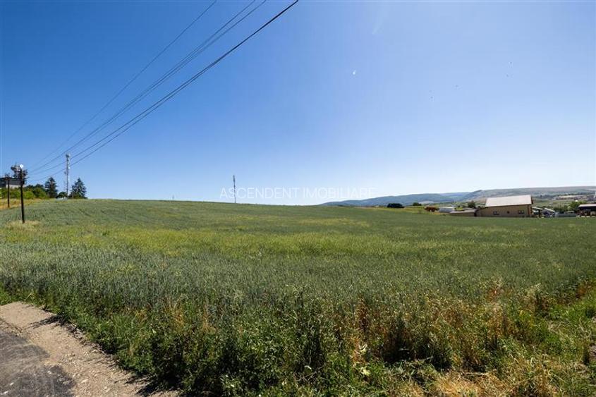 5 loturi casa Maierus,1.375mp,langa DN13, Doripesco,Brasov: 35min, zona verde:FI - 4