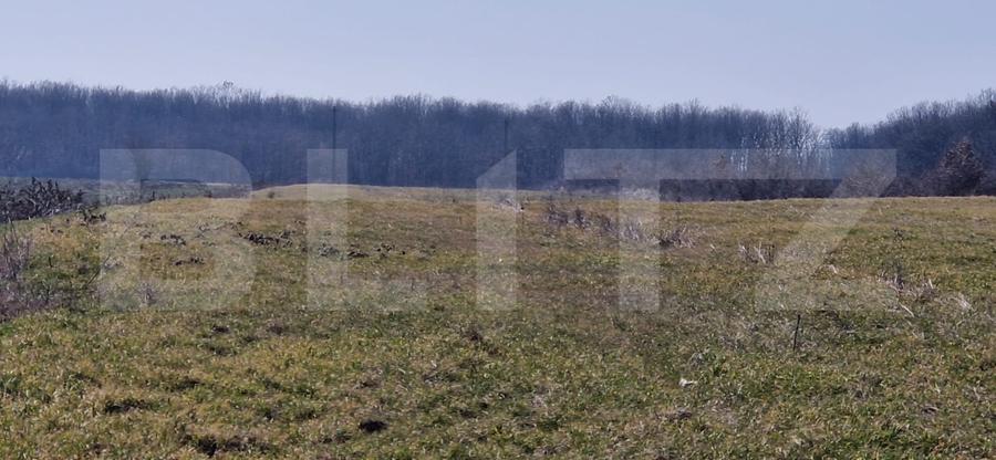 Teren intravilan, 10000 mp, zona Robanesti