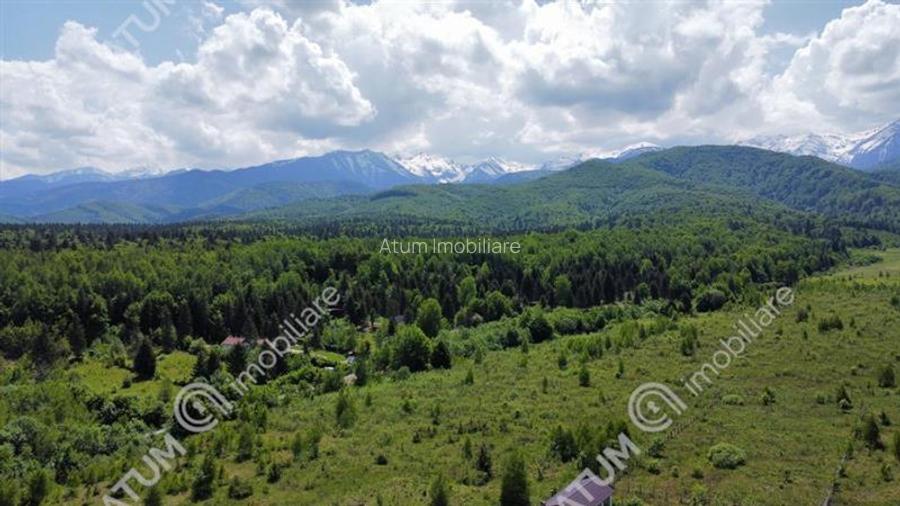 Teren intravilan de vanzare in Avrig zona Valea Avrigului - 6