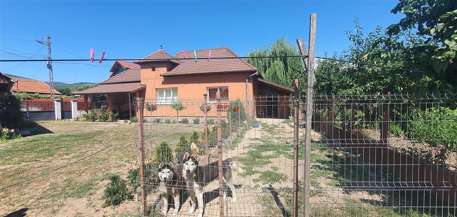 Casa de vanzare 2000 mp teren Micesti