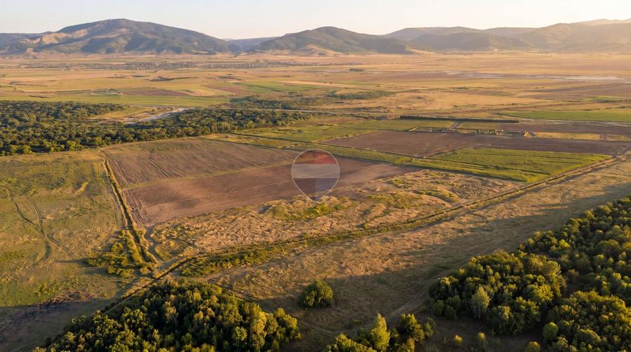 Teren extravilan 44.000 mp (4,4 ha) | Hărman | Comision 0%