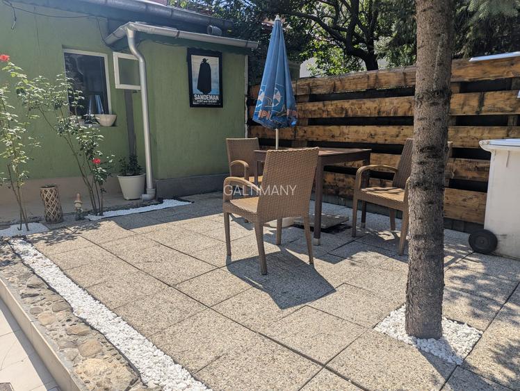 Casă parter – Domenii, Bvd. Ion Mihalache, Herastrau, curte proprie - 29