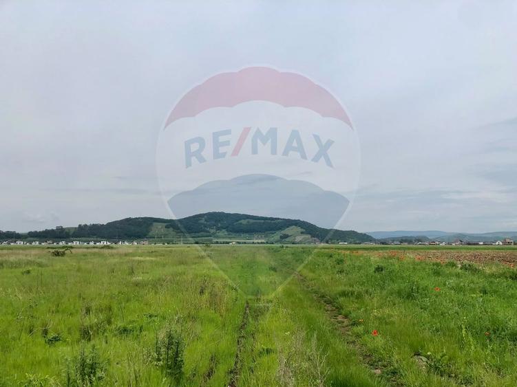 Comision 0% | 4 Parcele 538mp | Harman, Strada MIHAIL SADOVEANU