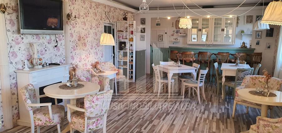 Pensiune de vanzare | 7 camere | 240 mp | Centru