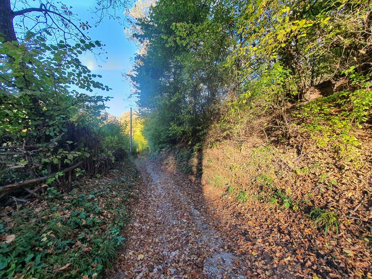 Teren Brasov – str. Podul lui Grid  zona de case
