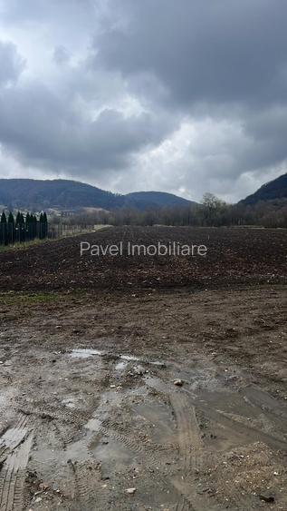 6700 MP TEREN ALBESTI- SIGHISOARA - 2