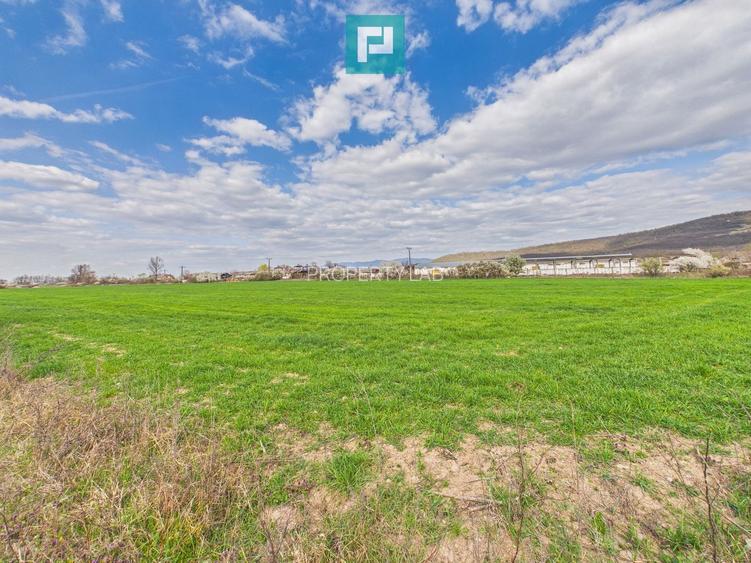 Teren extravilan, 1 ha, în orașul Sebiș, Arad - 5