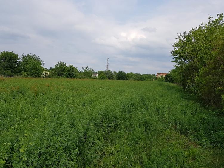 VANZARE TEREN INTRAVILAN