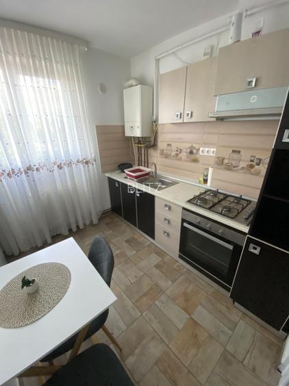 Apartament 2 camere, 55 mp, zona Ultracentral – Piata Revolutiei - 5