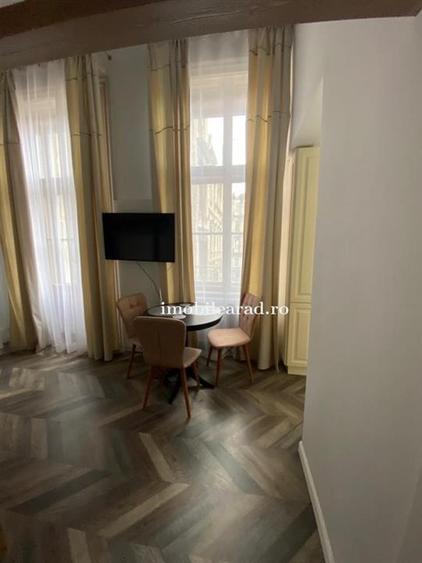 Apartament 60 Euro pe zi, amenajat in stil unic langa Primaria Arad