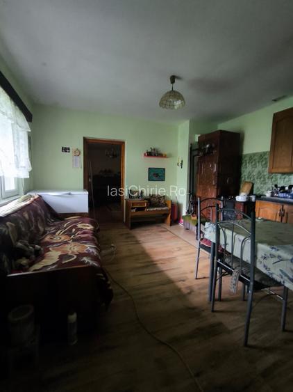 DE VÂNZARE – Domeniu cu casă, teren și afacere zootehnică avicolă în Dochia, NT - 11