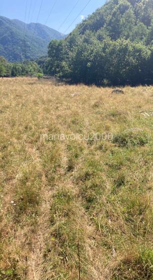     Teren intravilan într-una dintre cele mai frumoase zone montane din România - 9