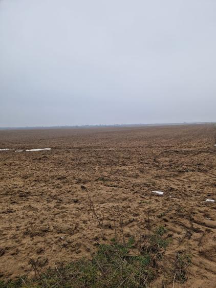 Teren de vânzare 2.500 mp – Malu Mare