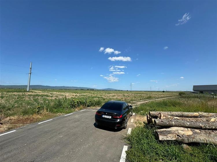Teren in Golesti 9.848mp intravilan + extravilan pret 6 euro / mp