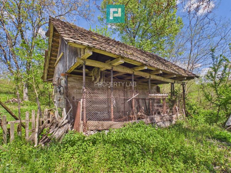 Proprietate rară cu 24.270 mp, în Măgulicea, Arad!