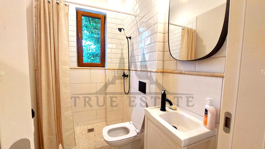 Apartament superb, in vila interbelica renovata, in zona Plantelor - 12