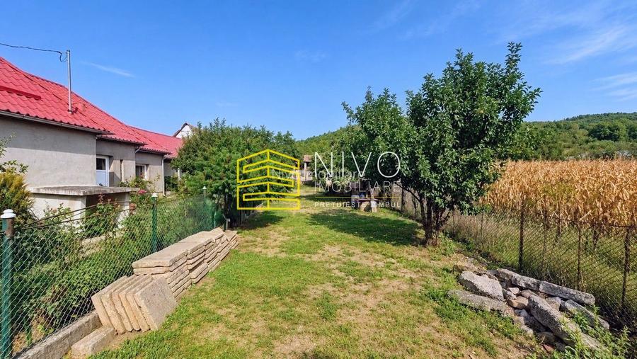 Casă singur în curte – Mureș - Idrifaia