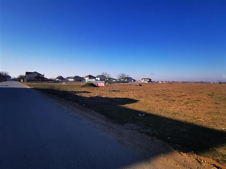 Loturi de vanzare 470 mp comuna Berceni - drum asfaltat, utilitati