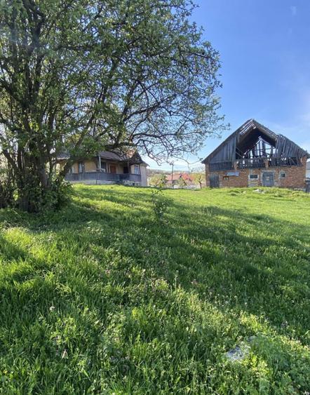 Teren cu casa demolabila Valea Chintaului 2000 mp extravilan