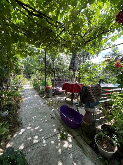 Casa cu 3 camere in Sacueni