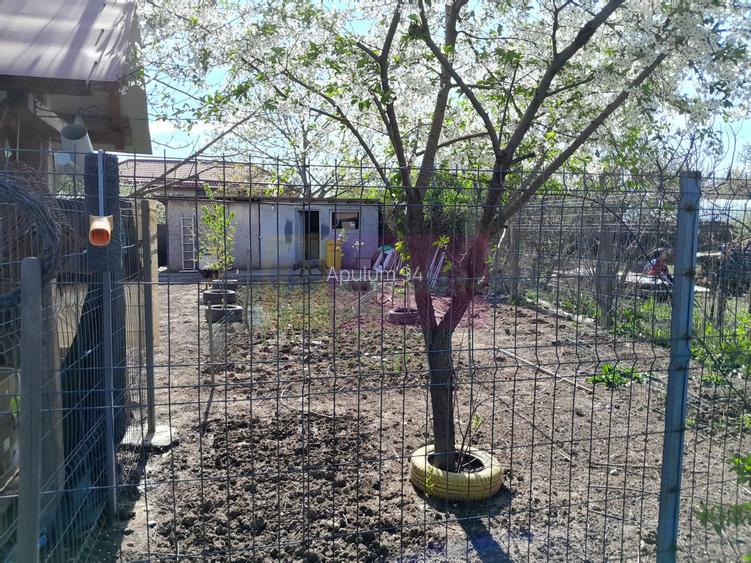 DE VANARE CASA P+M 5 CAM  GIURGIU - 34