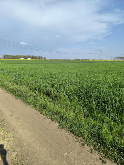 Frumusani DN 4 Popas-20km de Bucuresti , posibilitate parcelare