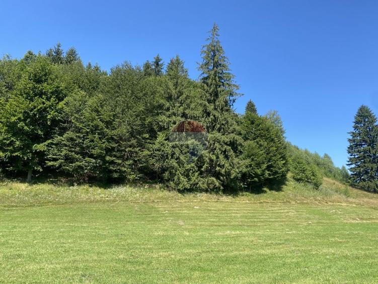 Teren Extravilan 3866 mp in Vama Buzaului la Strada Principala