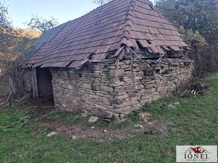 Vanzare casa cu 17.399 mp teren in Vintu de Jos - Valea Vintului