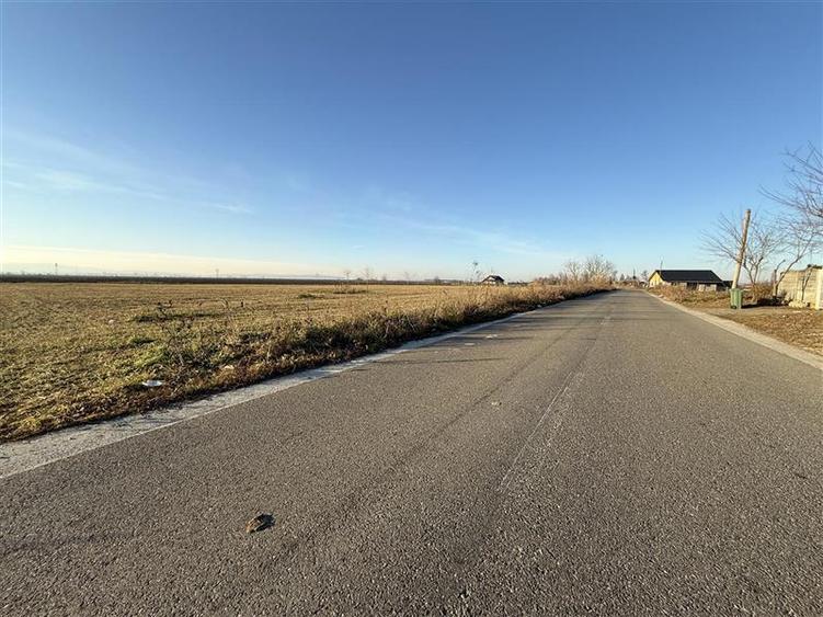 Letea Veche- Holt - 3.600mp - extravilan