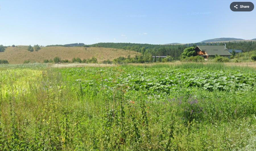 Teren de vanzare Savadisla 1400mp front la 2 drumuri