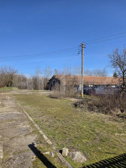 Business Agro-Industrial , 8.032 mp Curți Construcții , 130m Deschidere