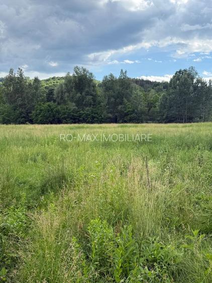Teren plat-intravilan -3800 mp, cu pădurice și ieșire la râu! - 26